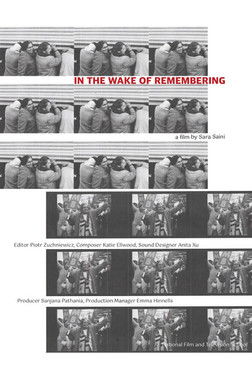 Poster do Filme In the Wake of Remembering