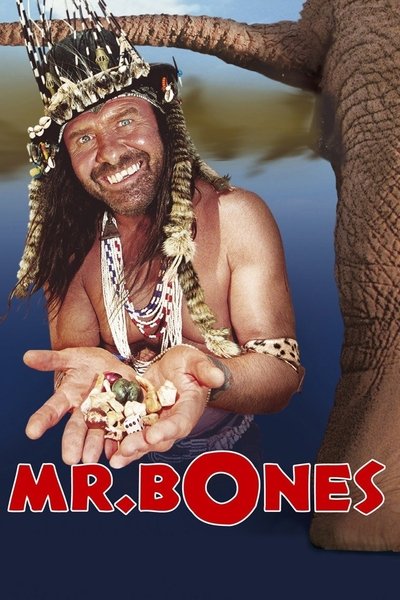 Poster for the movie Mr. Bones
