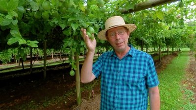 Episode 23 Garden Inspiration Special