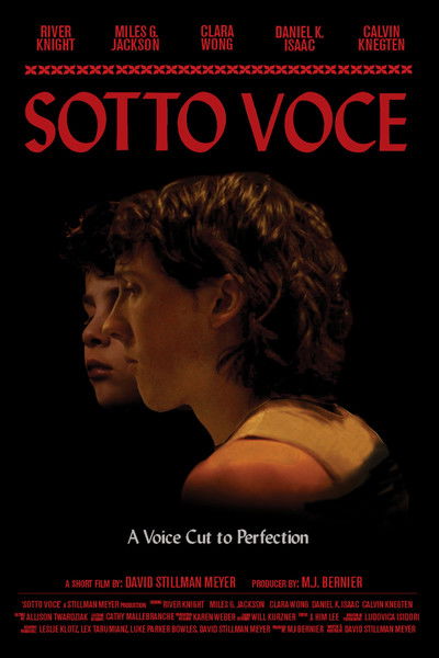 Poster do Filme Sotto Voce
