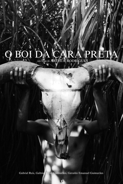Poster do Filme O Boi da Cara Preta