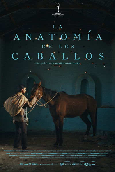 Poster do Filme La anatomía de los caballos