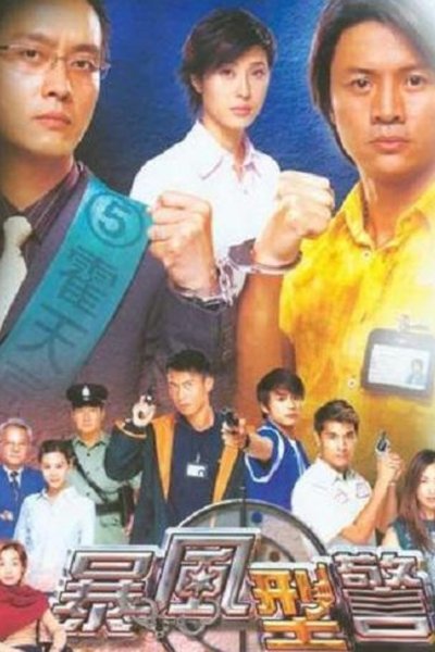poster for 暴風型警