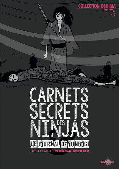 Carnets secrets des ninjas
