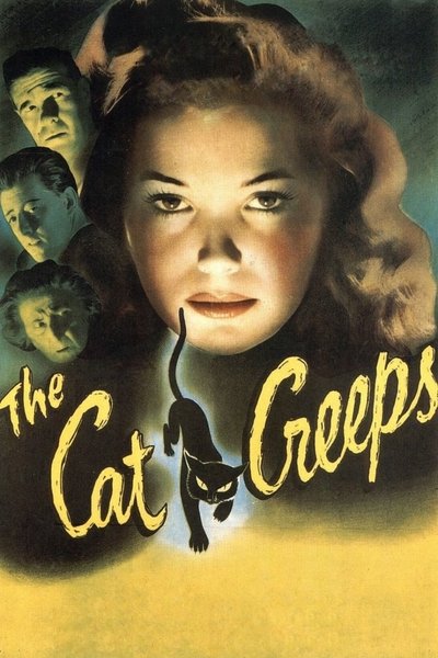 Poster for the movie The Cat Creeps