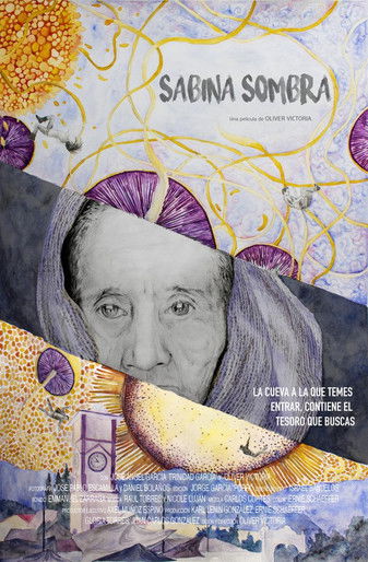 movie poster for Sabina's Shadow