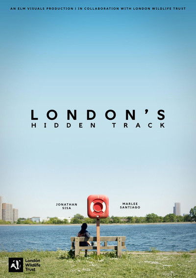 Poster do Filme London's Hidden Track