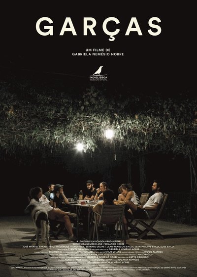 Poster do Filme Garças