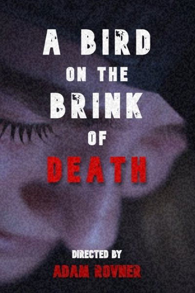 Poster do Filme A Bird on the Brink of Death