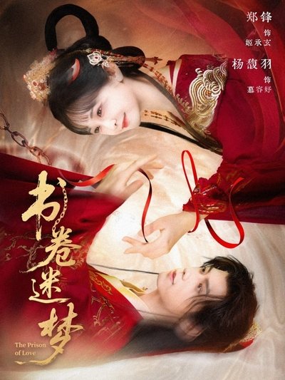 poster for 书卷迷梦