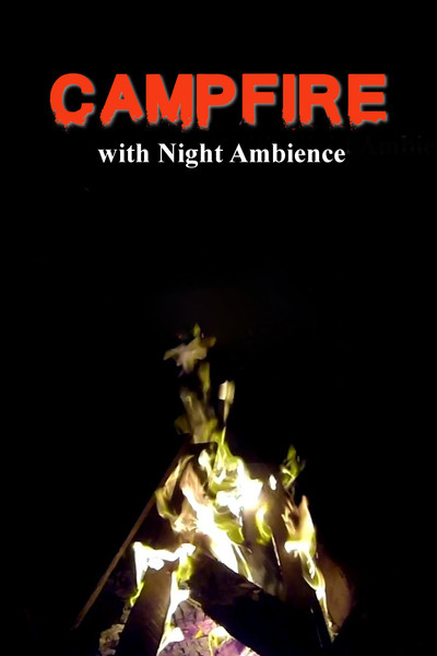 Poster do Filme Campfire with Night Ambience