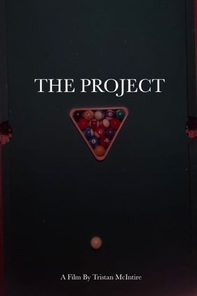 movie poster for The Project