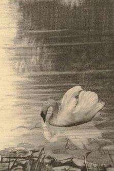 Poster do Filme Den Grimme Ælling