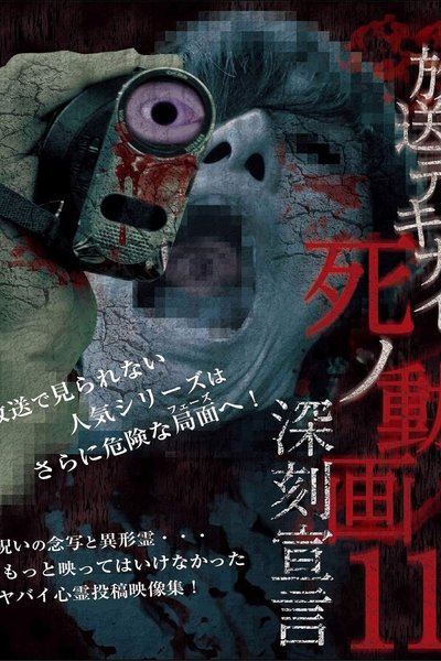 movie poster for Hoso Dekinai Shi no Doga 11: Shinkoku Sengen
