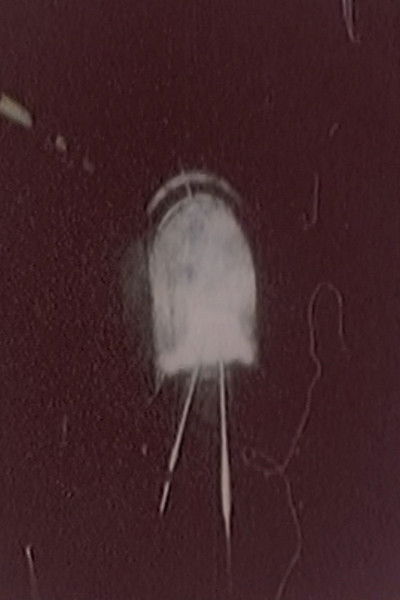 Poster do Filme Hibaku Ningen X