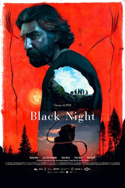 Poster for the movie Black Night