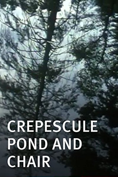 Poster do Filme Crepescule Pond and Chair