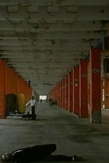 Poster do Filme Weltgenie