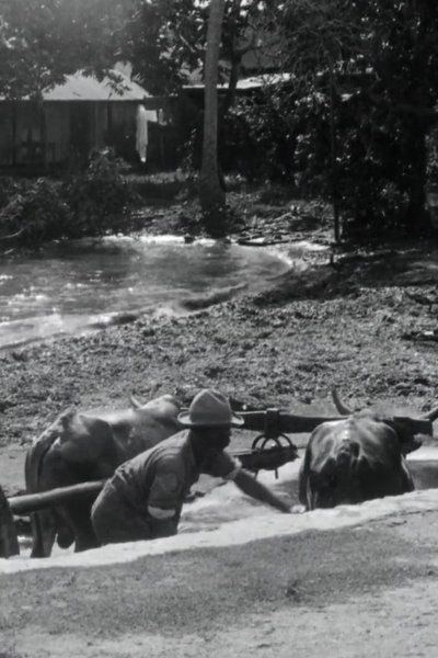 movie poster for Guadeloupe, le pays des Belles-Eaux