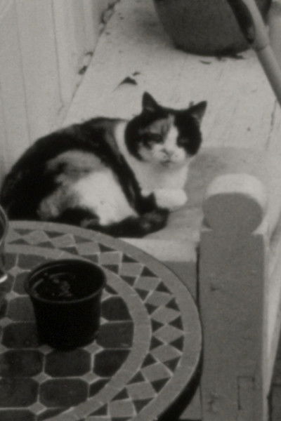 Poster do Filme Garden Book