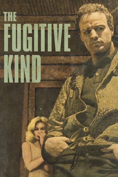 Poster for the movie The Fugitive Kind
