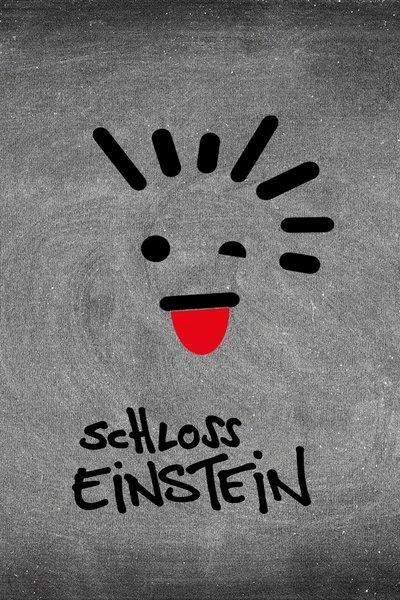 poster for Castle Einstein