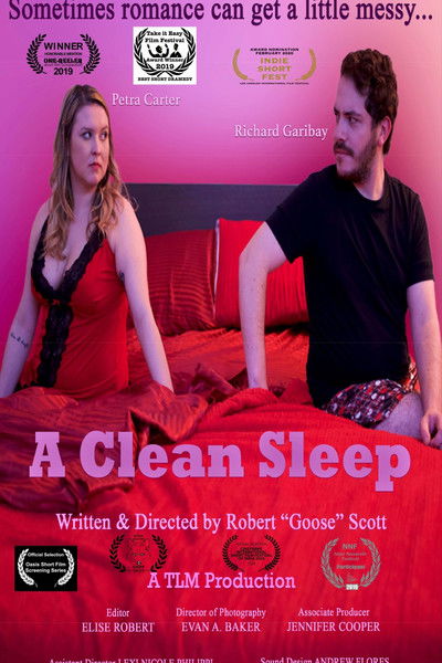 Poster do Filme A Clean Sleep