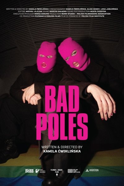 Poster do Filme Bad Poles
