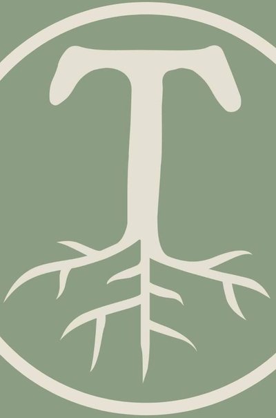 poster for Transformed