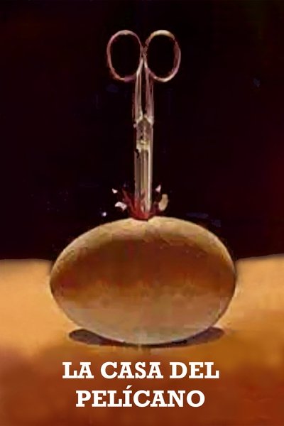 Poster do Filme La Casa del Pelícano