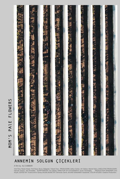 Poster do Filme Annemin Solgun Çiçekleri