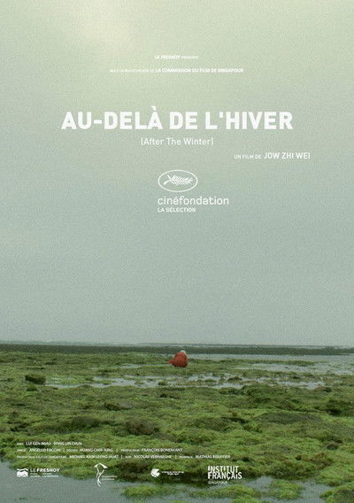 Poster do Filme Au-delà de l'hiver