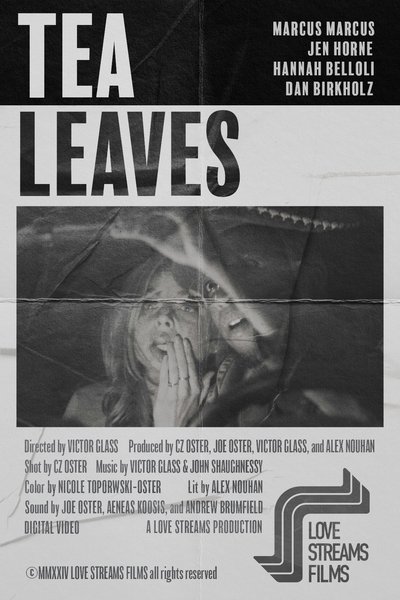 movie poster for Tea Leaves