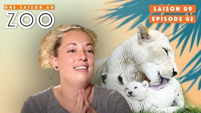 Episode 2