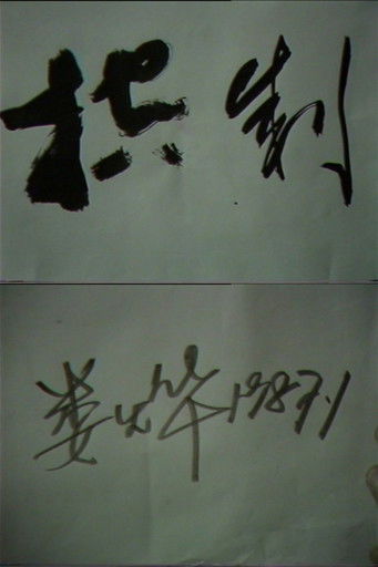 Poster do Filme 控制