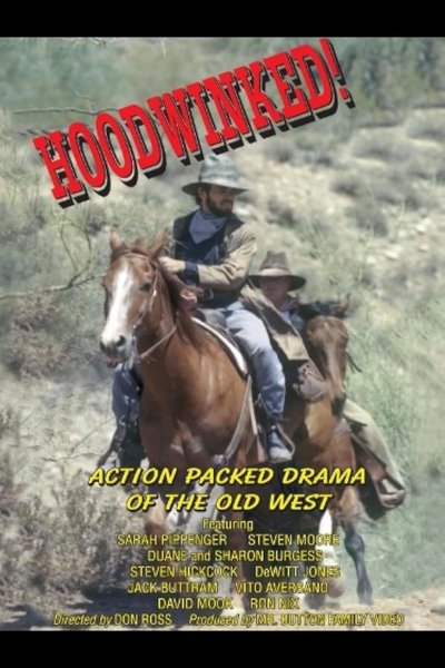 movie poster for Hoodwinked