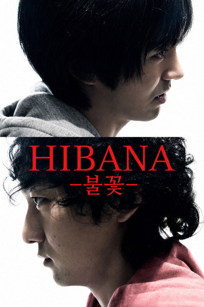 Hibana: Spark