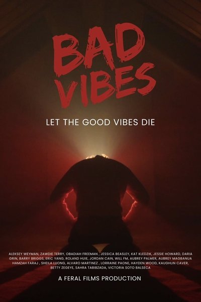 Poster do Filme Bad Vibes