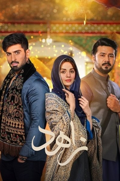 poster for Qalandar