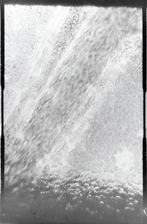 Poster do Filme Déplacement des globules de sang dans un vaisseau capillaire