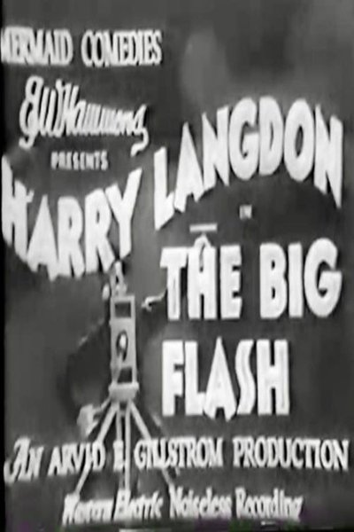 Poster for the movie The Big Flash