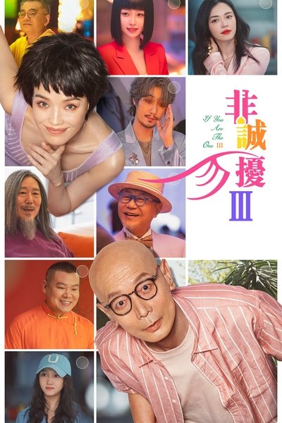 Poster for the movie If You Are the One 3