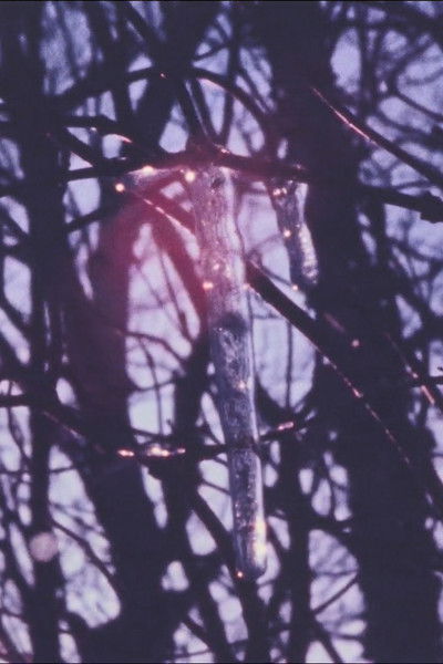 Poster do Filme Winter Fence