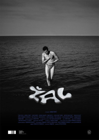 movie poster for Žal