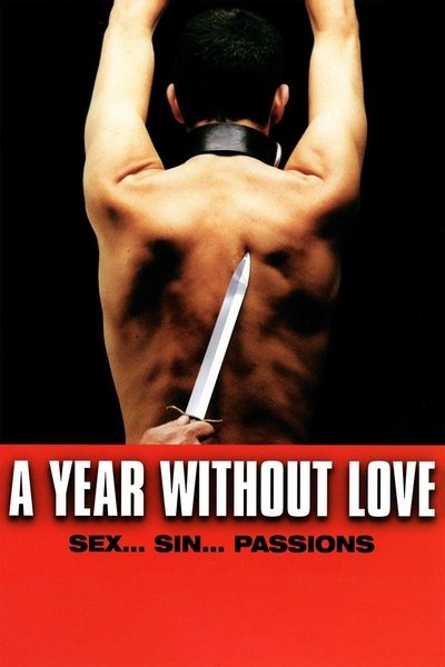 Poster for the movie A Year Without Love