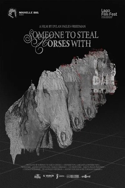 movie poster for Someone to Steal Horses With