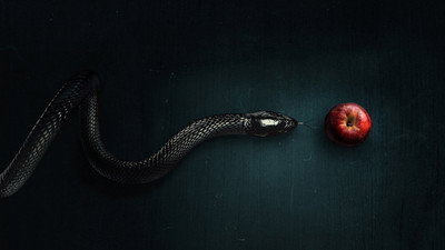 Evil (2019) Watch Online Free | ඔන්ලයින් බලන්න