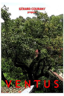 Poster do Filme Ventus