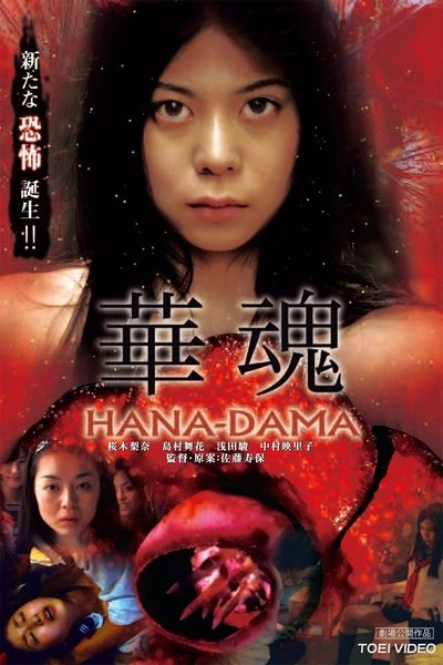 Poster do Filme 華魂