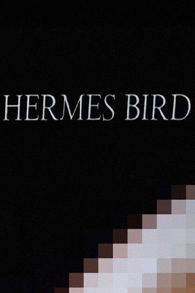 Hermes Bird